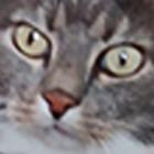 Avatar utilizator