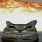 Avatar utilizator